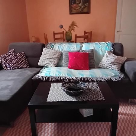 Appartement Spacieux Dans Joli Village Alsacien Châtenois Exterior foto