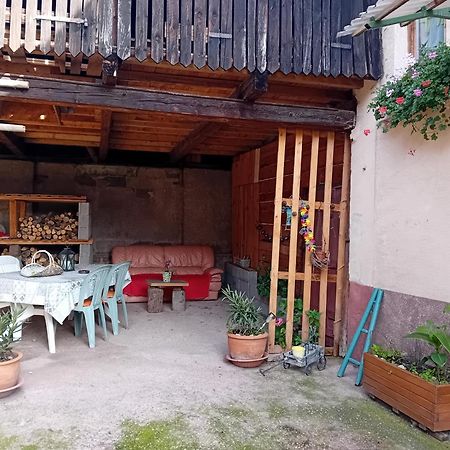 Appartement Spacieux Dans Joli Village Alsacien Châtenois Exterior foto