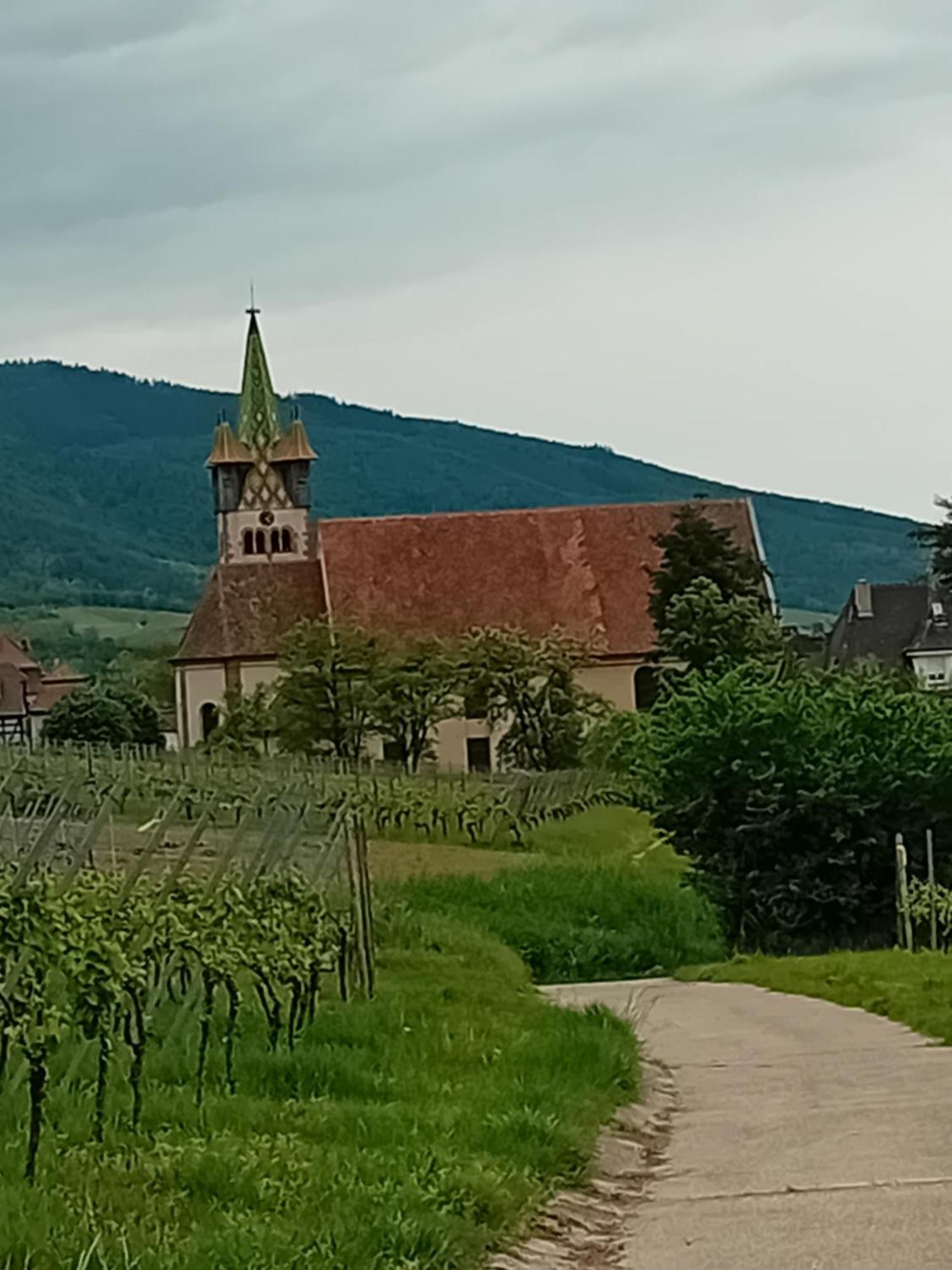 Appartement Spacieux Dans Joli Village Alsacien Châtenois Exterior foto